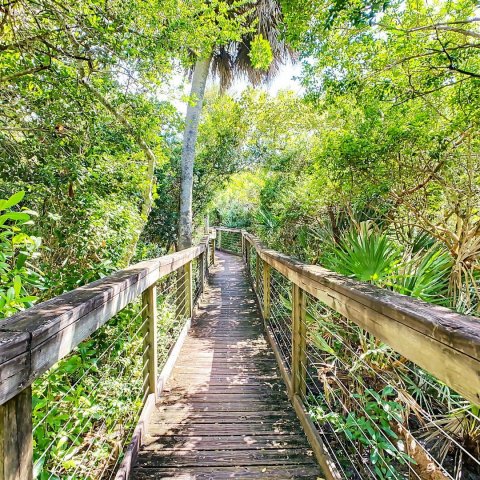 OW-On-the-Boardwalk